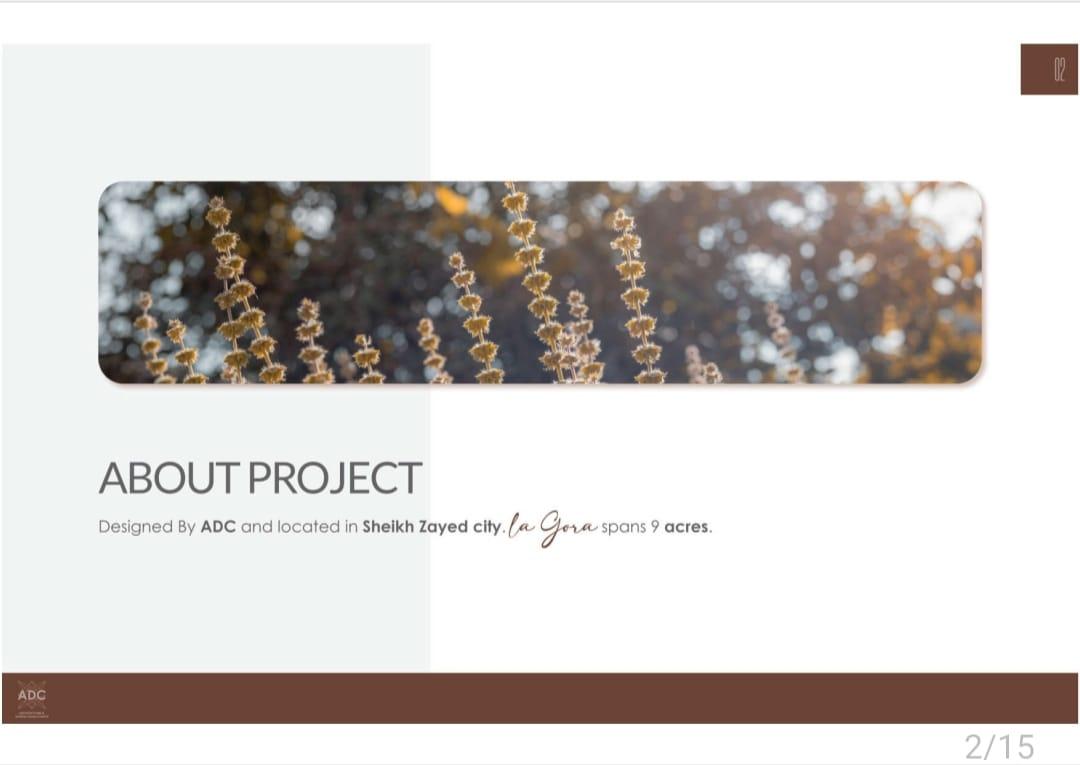 WhatsApp Image 2025-05-17 at 6.29.59 PM-1