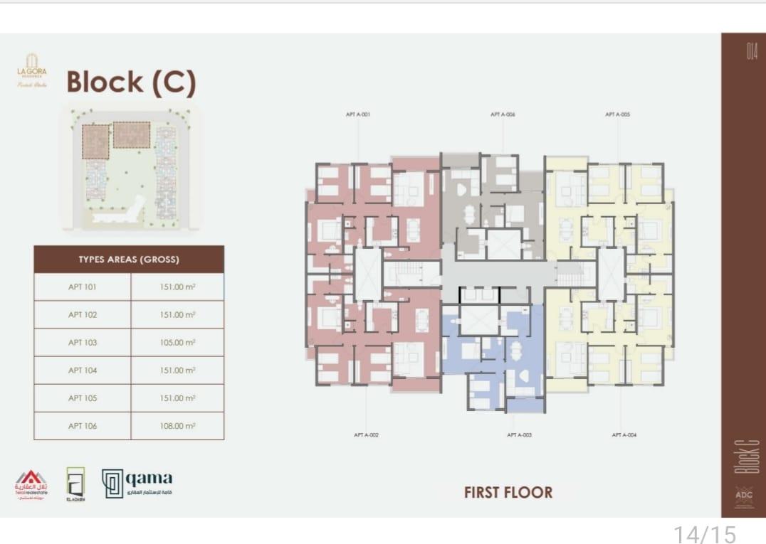 WhatsApp Image 2025-05-17 at 6.30.02 PM